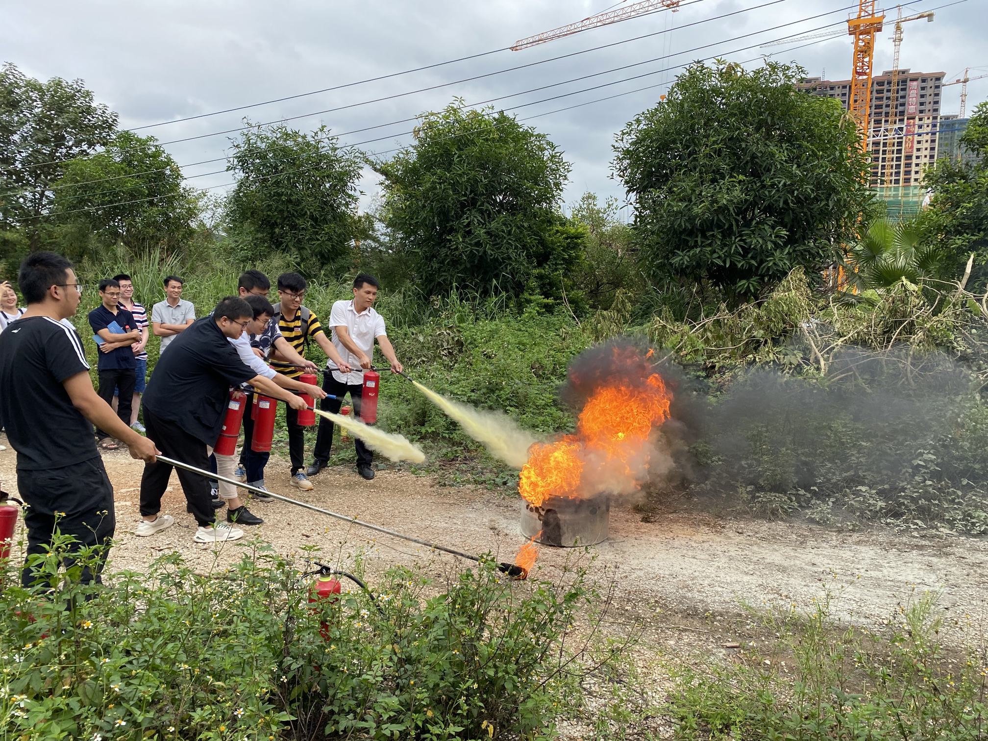 1702623744529700.jpg 4.jpg